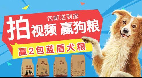 狗粮真实爆料视频下载,真实爆料视频深度解析
